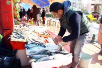 KAR SUYU - Balığın Kulağına Kar Suyu Kaçtı