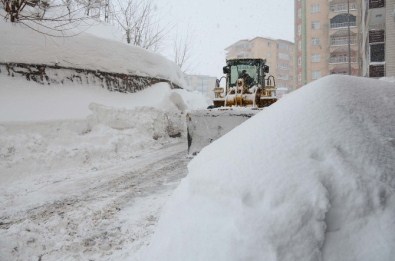 Bitlis'te Kar Esareti