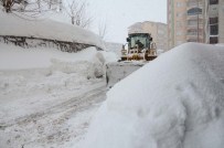 Bitlis'te Kar Esareti