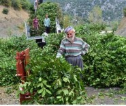 Defne Değil 'Define'