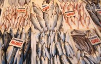 BALIK FİYATLARI - Kar Yağınca Balık Fiyatları Uçtu
