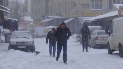 Kars'ta Tipi Hayatı Felç Etti