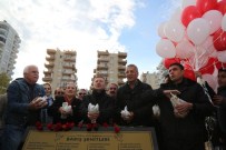 AYTUĞ ATICI - Mezitli'de Jacaranda Korulukları Artıyor