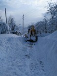HAMİLE KADIN - Ünye'de Kar Mücadelesi