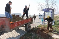 Yunusemre'de 2023 Çınar Toprakla Buluştu