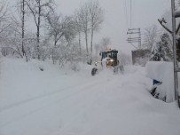 Altınordu İlçesinde Yollar Açık