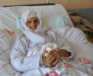 Çoban Köpekleri Anne Ve Oğlunu Hastanelik Etti