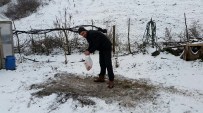DIN BIR SEN - Karda Aç Kalan Kuşlara Köy İmamı Yem Bıraktı