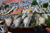 BALIK FİYATLARI - Malatya Balık Pazarında Hamsi Bereketi Yaşanıyor