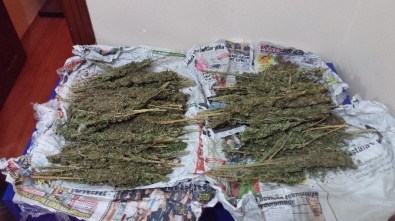 Niğde'de Uyuşturucu Satıcısı Yakalandı