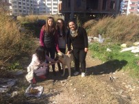SOKAK KÖPEĞİ - Silifke'de Sokak Hayvanlarına Öğrenciler Sahip Çıktı