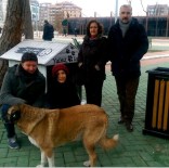 ÖRNEK ŞEHİR - Sokak Hayvanları İçin 'İnsanlığımız Buz Tutmasın' Çalışması