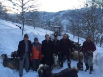 İBRAHIM SAĞıROĞLU - Karda Mahsur Kalan Çoban Ve 300 Küçükbaş Hayvanı Kurtarıldı