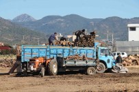 ÇAMKÖY - Soğuk Hava Seracıyı Yaktı