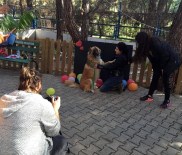 Büyükşehir'den 'Engelsiz Sevgi Projesi'