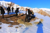 ZABITA EKİBİ - Çatak'ta Yaban Hayvanlarına Yem Bırakıldı