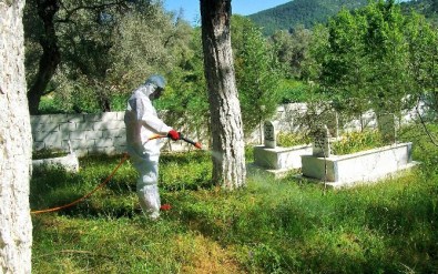 Mezarlıklarda Temizlik