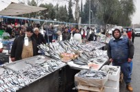 BALIK FİYATLARI - Soğuk Hava Balık Fiyatlarını Uçurdu