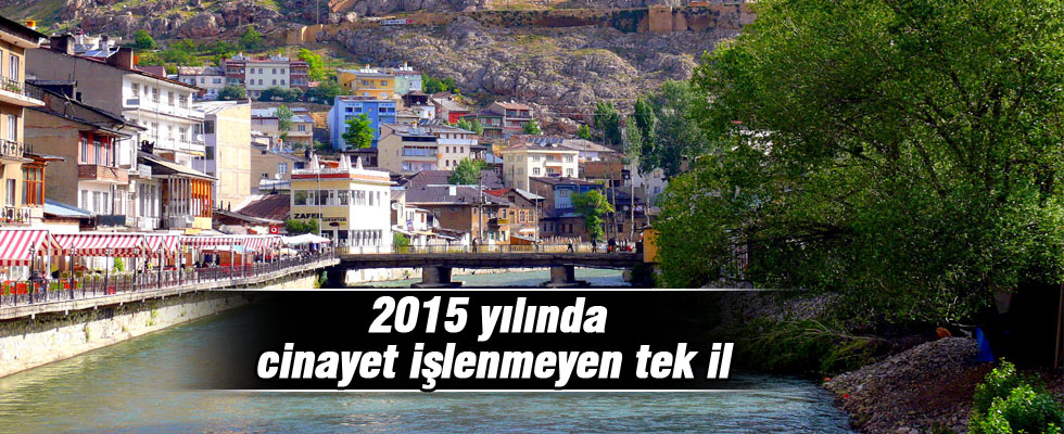 2015 yılında cinayet işlenmeyen tek il