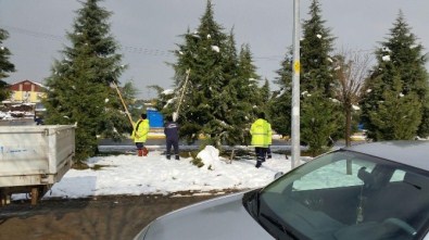 Kartepe'de Ağaçlar Kardan Korunuyor