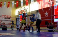 Muaythai Türkiye Şampiyonası Söke'de Başladı