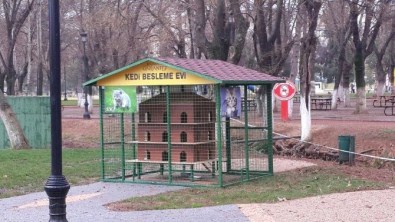 Sokak Kedileri İçin Besleme Evi Ve Barınak