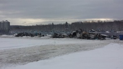 50 Bin Ördek Telef Oldu