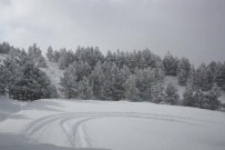 Aladağ'a Yağan Kar Sevindirdi