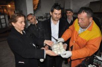 KÜLTÜR MANTARı - Ranzalarda Kültür Mantarı Yetiştirildi