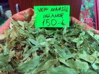 Ihlamur Fiyatı El Yakıyor