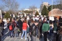 ÇOCUK GELİN - Kadına Şiddete Tepki Eylemi