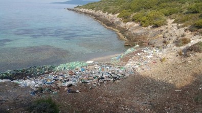 Küçük Koyu Ter Temiz Yaptılar