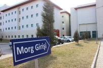 KAN KANSERİ - Mahkum Domuz Gribinden Öldü