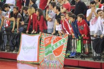 Spor Toto Basketbol Ligi