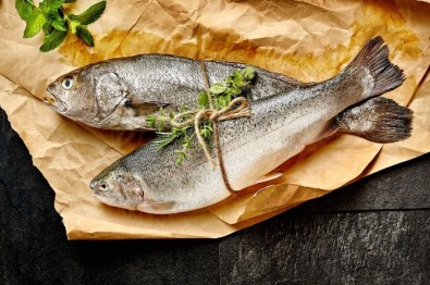 Su Ürünleri İhracatında Aslan Payı Ege Bölgesi'nin