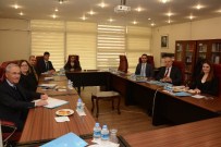 İNSAN HAKLARI KURUMU - Ulusal Yaşlılık Konseyi Türkiye İnsan Hakları Kurumu İle İstişare Toplantısı Yaptı