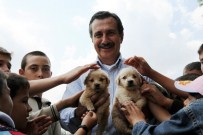 Tepebaşı'nda Sokak Hayvanı Sahiplendirmede Rekor Rakamlar