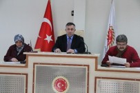 HÜSEYİN ÇELİK - 2016 Yılının İlk İl Genel Meclis Toplantısı Yapıldı