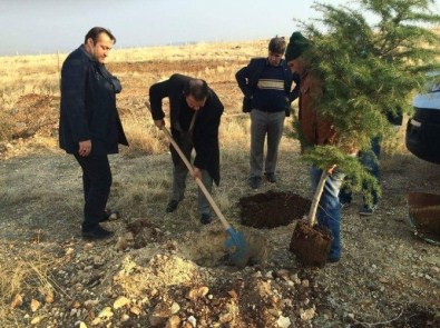 Adıyaman Belediyesi 60 Bin Fidanı Toprakla Buluşturdu