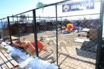 AKSARAY BELEDİYESİ - Aksaray Belediyesi, Sahipsiz Hayvanlara Hizmet Veriyor
