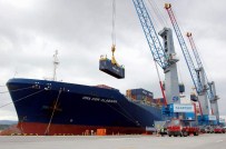 MUSTAFA ELİTAŞ - İhracat  Yüzde 8,7 Geriledi