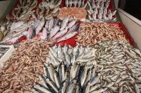 BALIK FİYATLARI - Soğuk Hava Balık Fiyatlarını İkiye Katladı