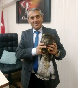 Yaralı Doğana Müdür Sahip Çıktı