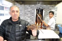 ORMAN MUHAFAZA MEMURU - Açlık Ve Soğuktan Lokantaya Sığındı