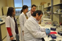 NOBEL ÖDÜLÜ - Aziz Sancar'ın Nobel Adayı Gebze Teknik Üniversitesinden