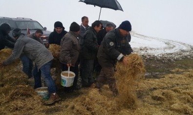 Düzce'de Yaban Hayvanlarına Yem Bırakıldı