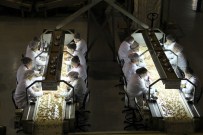 Fındık İhracat Gelirinde Tüm Zamanların Rekoru Kırıldı