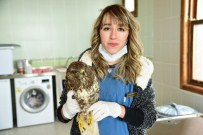 KUŞ CENNETİ - Kuş Cenneti'nde Hasta Kuşlara Özel Bakım