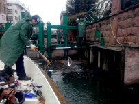 SERDAR KAYA - Porsuk Ekibinin Buzla Mücadelesi Bu Yıl Da Devam Ediyor