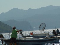 GÖKOVA KÖRFEZİ - Ege'nin Kadın Balıkçıları Çanakkale'de Buluşacak